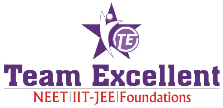 TeamExcellent-icon